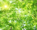 人間ドックの予約から結果を受け取るまでの流れと準備しておきたいこと