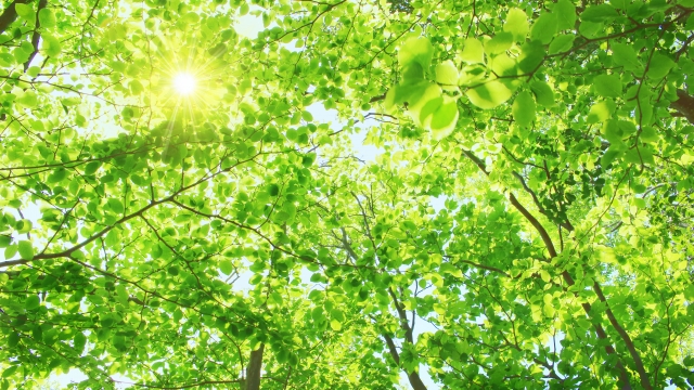 人間ドックの予約から結果を受け取るまでの流れと準備しておきたいこと